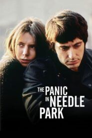 Panika v Needle Parku