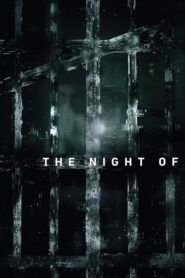 Jedna noc / The Night Of