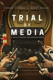 Soudní procesy v médiích