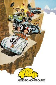 Herbie jede rallye
